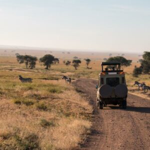 5 popular wildlife safari destinations