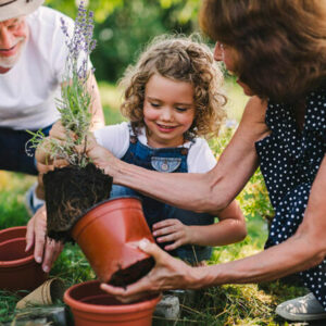 6 common gardening mistakes to avoid
